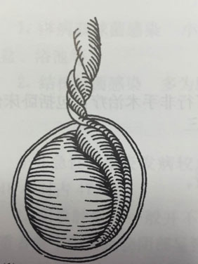 20170413165226.jpg