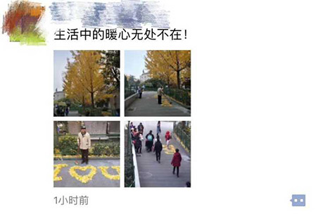 图片6.jpg 图片6.jpg