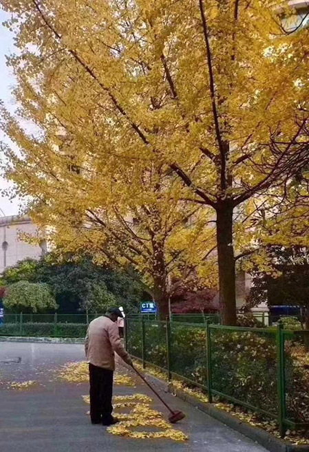 图片9.jpg 图片9.jpg